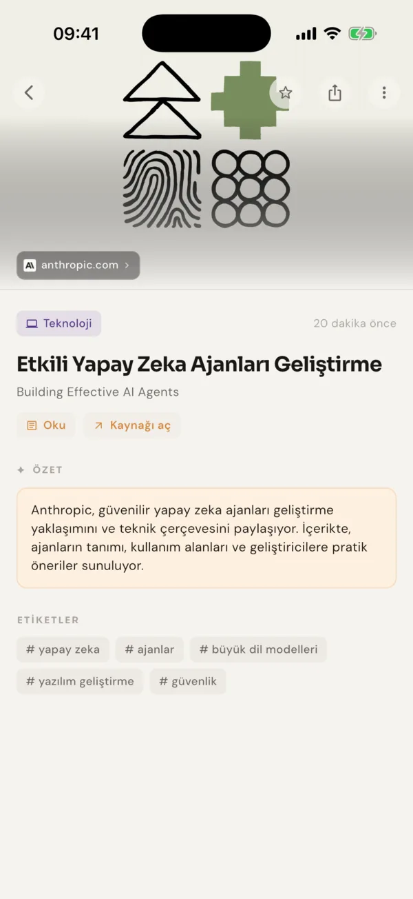 Bir kaydın özet ve konusuyla göründüğü detay ekranı